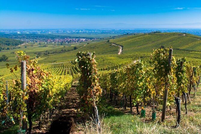Alsace Full Day Wine Tour from Colmar - Alsace from Colmar: why this day trip hits the sweet spot