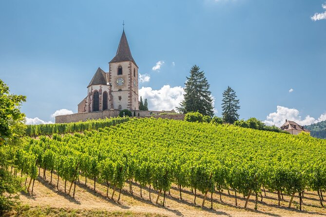 Alsace Full Day Wine Tour from Colmar - Ophorus and the Alsace wine route: where the scenic drive turns useful