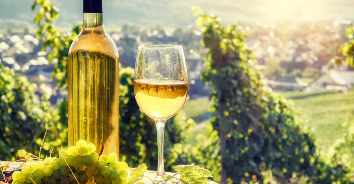 Alsace: Full-Day Wine Tour & Tastings from Strasbourg - Key points that make this Alsace wine tour worth your attention