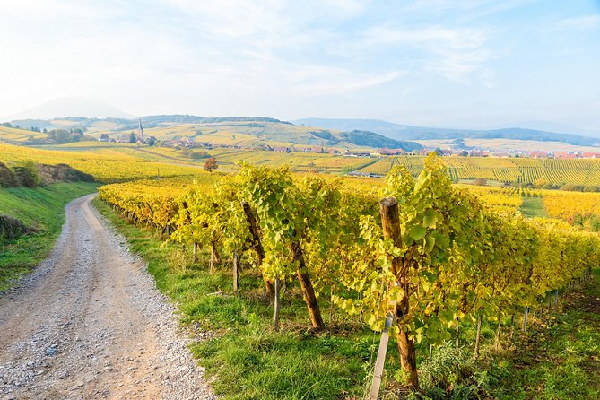 Alsace villages half day tour from Colmar - Riquewihr and Hunawihr: two village vibes in one smooth flow