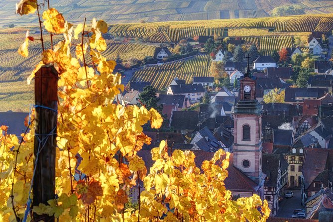 Alsace villages half day tour from Colmar - Kaysersberg walking tour: half-timbered streets and castle ruins