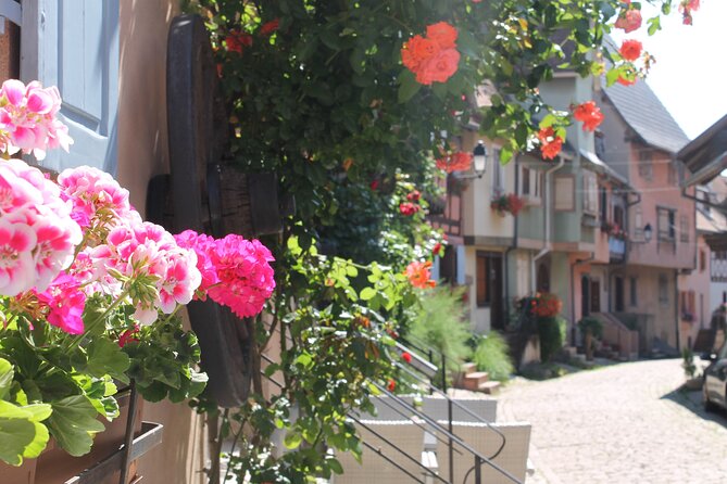 Alsace Wine Route Small Group Half-Day Tour with Tasting from Strasbourg - Strasbourg to the Alsace Wine Route: the drive is part of the value