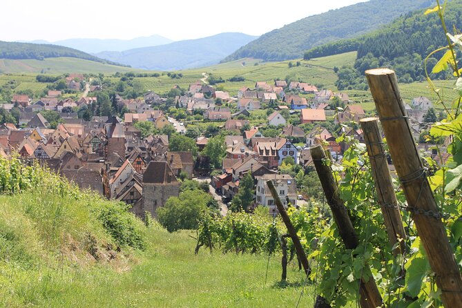 Alsace Wine Route Small Group Half-Day Tour with Tasting from Strasbourg - Stop 1: Route des Vins d’Alsace touring plus your first tastings