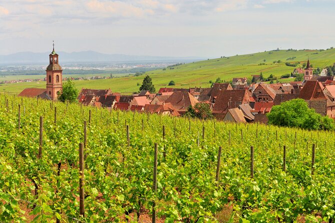 Alsace Wine Route Small Group Half-Day Tour with Tasting from Strasbourg - Timing and pacing: 4 hours that don’t feel rushed (or do, depending on you)