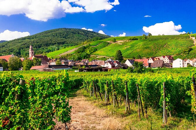 Alsace Wine Route Small Group Half-Day Tour with Tasting from Strasbourg - Guides and group vibe: when the guide clicks, the whole day clicks
