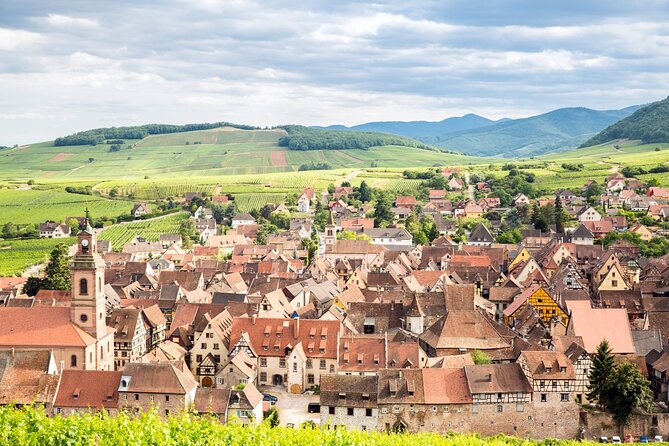 Alsace Wine Route Small Group Half-Day Tour with Tasting from Strasbourg - Price and what you get for about $157