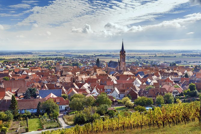 Alsace Wine Route Wineries & Tasting Small Group Guided Tour from Strasbourg - Lunch timing and how to eat so tastings still taste good