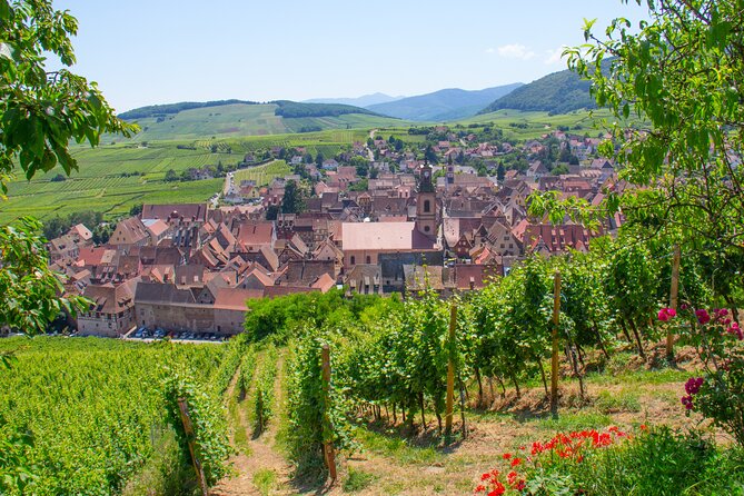 Alsace Wine Route Wineries & Tasting Small Group Guided Tour from Strasbourg - Price and value: is $260.12 fair for an 8-hour wine day?