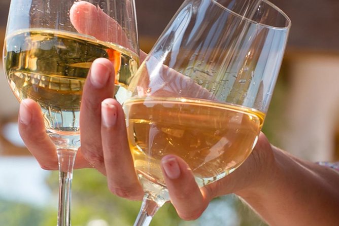 Alsace: Wine tasting/Single Straw Wine Tour - Key highlights at a glance