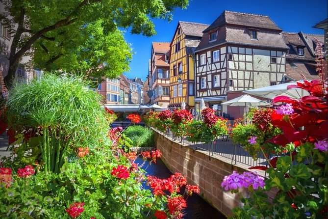 Alsace's Gems Small Group Day Tour from Colmar - What your guide experience is likely to feel like