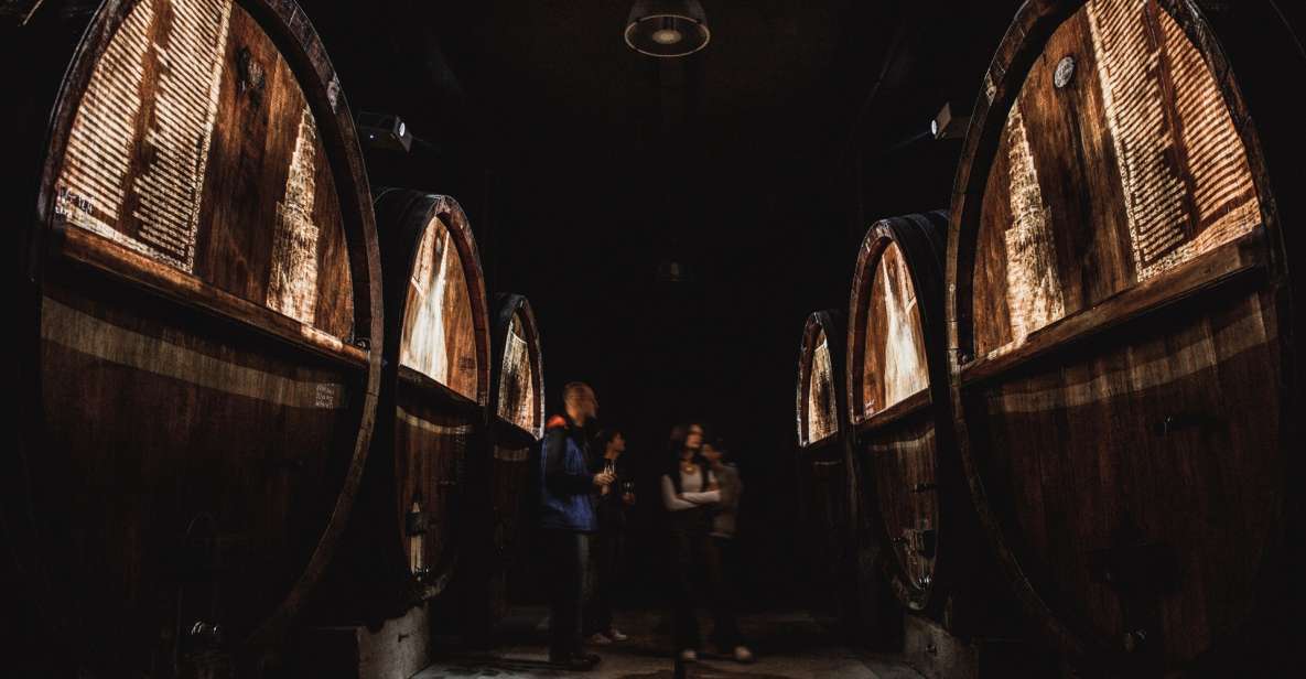 Alsatian Guided Wine Tasting and Immersive wine cellar tour - Key Things You’ll Notice Right Away
