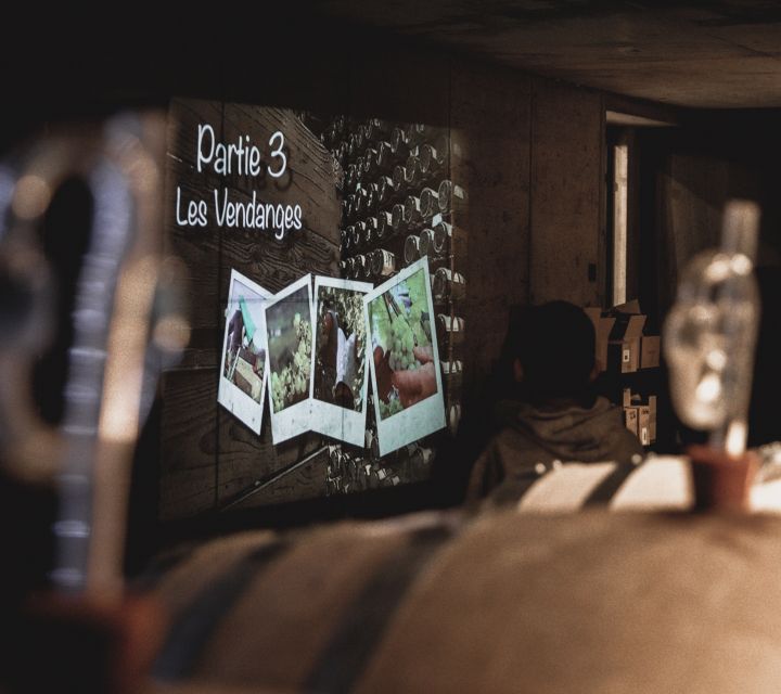 Alsatian Guided Wine Tasting and Immersive wine cellar tour - Should You Book This Wine Tasting Tour?
