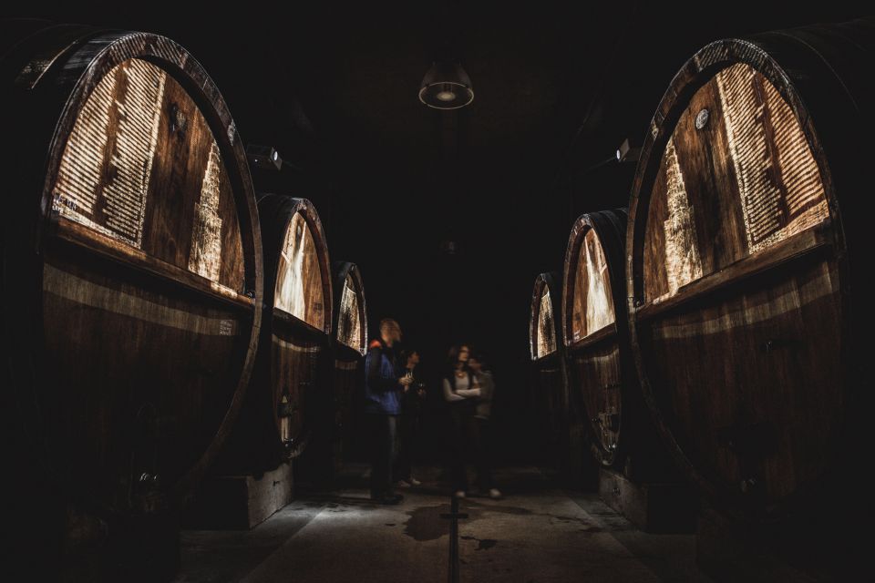 Alsatian Guided Wine Tasting and Immersive wine cellar tour - Oak Barrels From 1850 to 1900: The Cellar’s Real Star