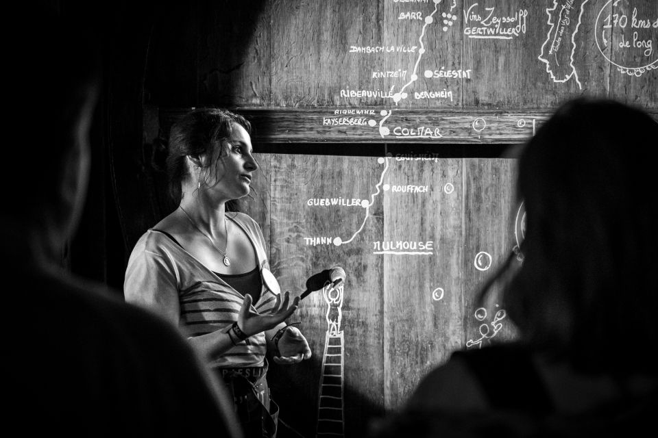 Alsatian Guided Wine Tasting and Immersive wine cellar tour - Timing, Starting Points, and How to Plan Your Day