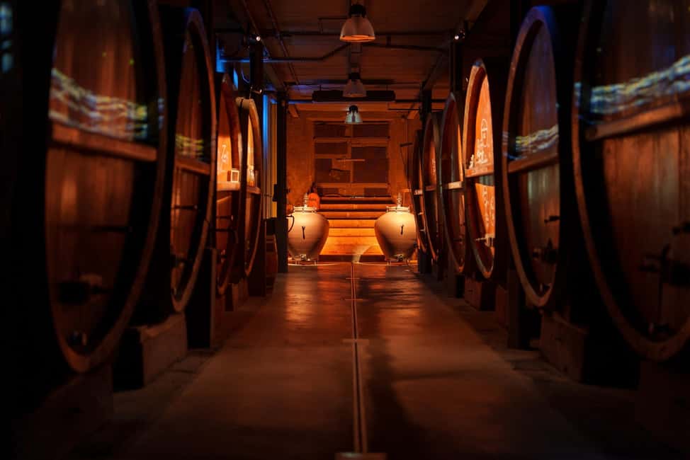 Alsatian Immersive Wine Tour, Wine Tasting & Alsatian lunch - Should You Book the Alsatian Immersive Wine Tour?