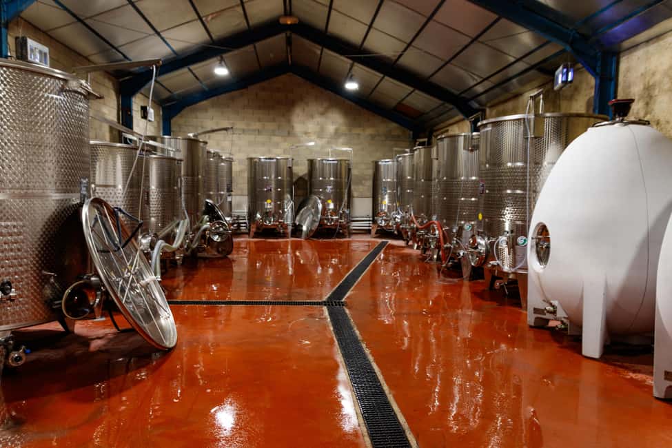 Aniane: Château Capion Wine Tasting Experience - Key points at a glance