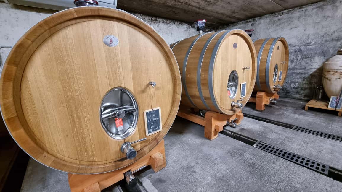 Aniane: Château Capion Wine Tasting Experience - What happens during the 30-minute tasting
