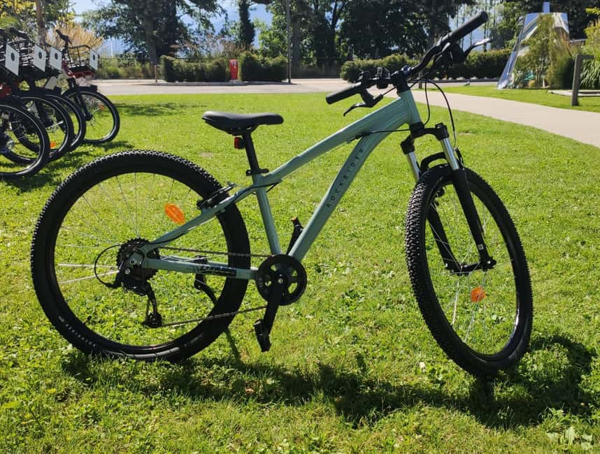 Annecy-le-Vieux, France: Electric and Classic Bike Rentals - Who this bike rental works best for