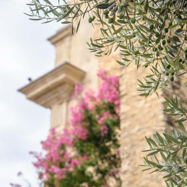 Antibes: Express Walk with a Local in 60 minutes - Port Vauban closes the short route