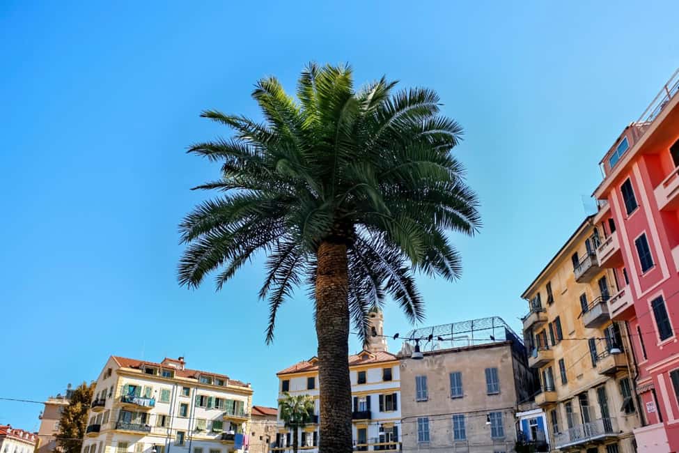 Antibes: Express Walk with a Local in 60 minutes - The ramparts show Antibes at its best