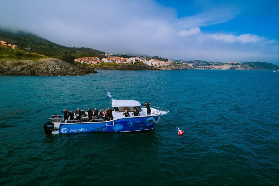 Argelès-sur-Mer: snorkeling into the Marine Natural Park - Starting behind the sardine-painted wall