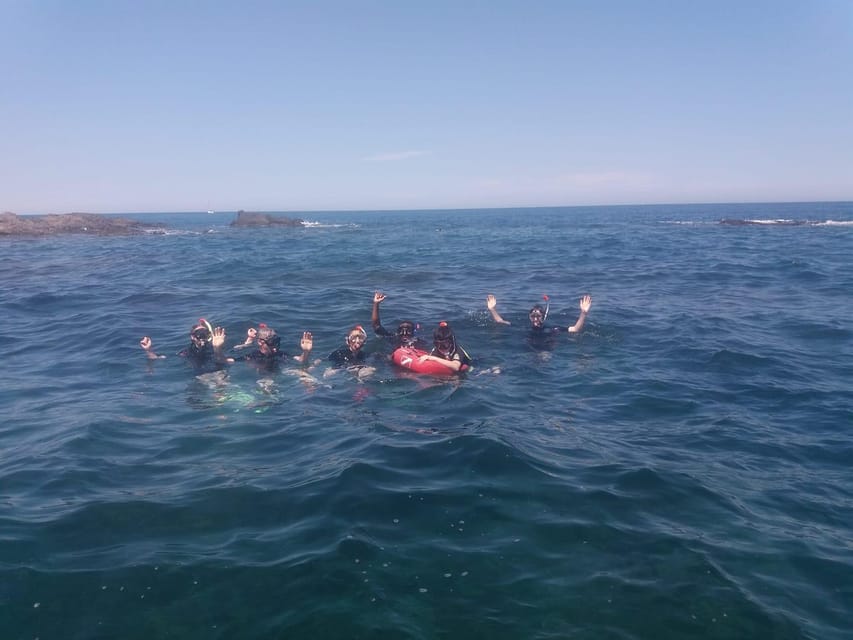 Argelès-sur-Mer: snorkeling into the Marine Natural Park - A boat ride into the Marine Natural Park