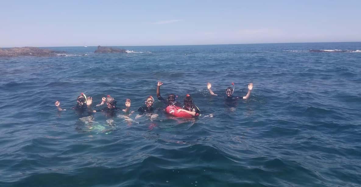 Argelès-sur-Mer: snorkeling into the Marine Natural Park - What the underwater scenery is really like