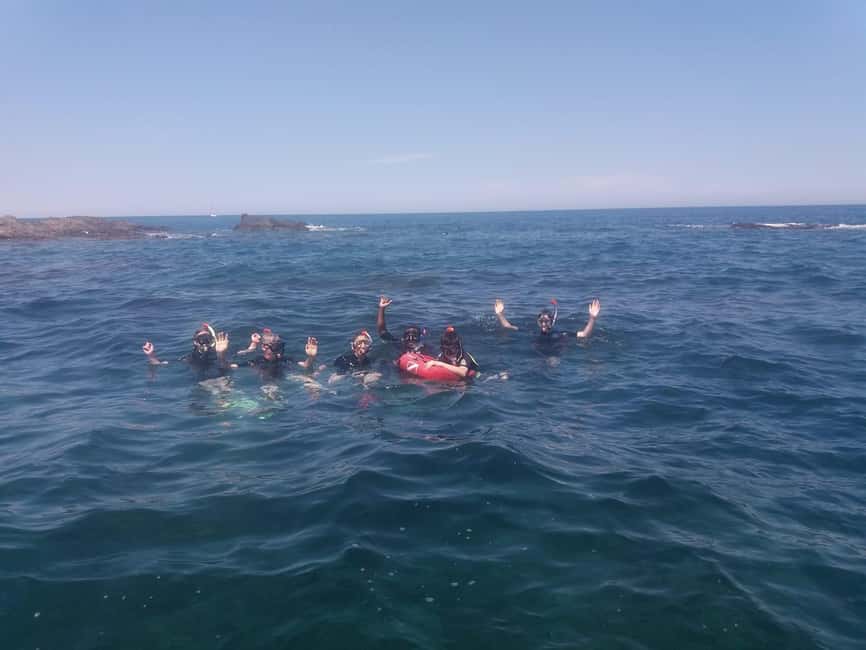 Argelès-sur-Mer: snorkeling into the Marine Natural Park - Two and a quarter hours in the water
