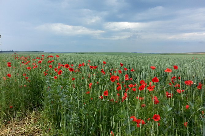 Australian private Somme tour including Sir John Monash Centre - Value for Money: $372.45 for a Private, Context-Heavy Day