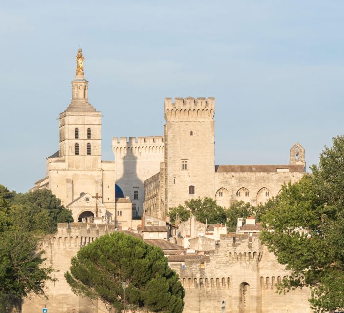 Avignon: City Walking Tour with Popes Palace Entry - Who this Avignon walk is best for