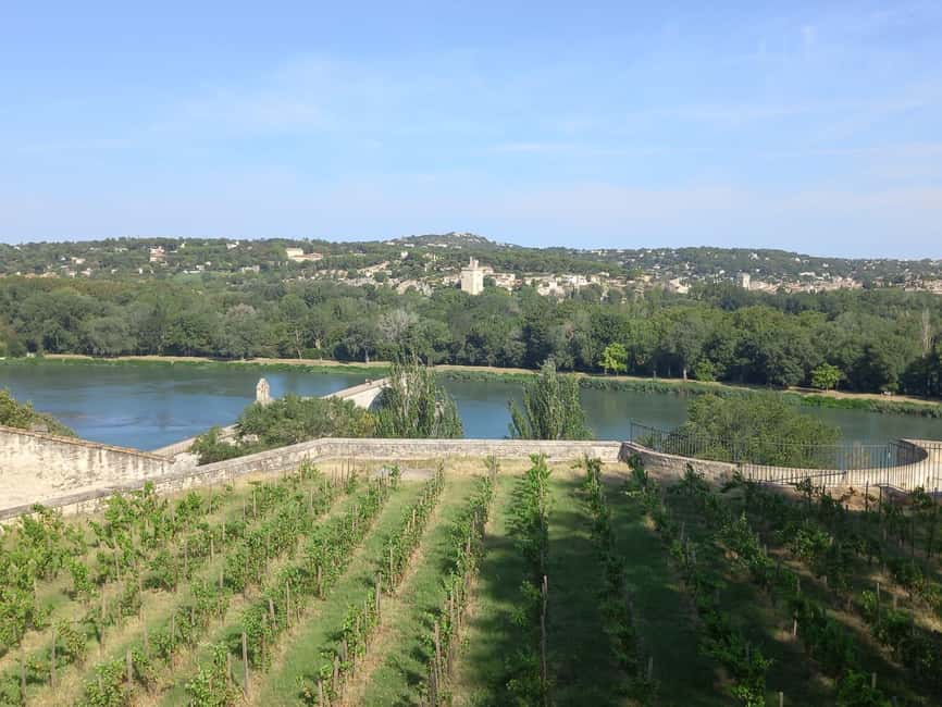 Avignon: City Walking Tour with Popes Palace Entry - Should you book this Pope’s Palace walking tour?