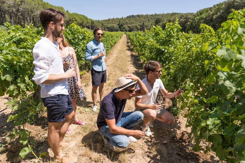 Avignon: Full-Day Châteauneuf du Pape Wines & Luberon Tour - Price and value: is $199 for 10 hours a smart buy?