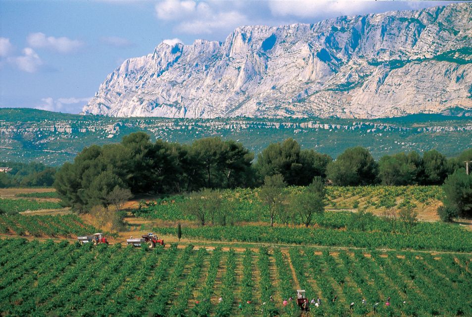 Avignon: Full-Day Wine Tour around Châteauneuf-du-Pape - The tasting lesson: what the guide teaches before you pour