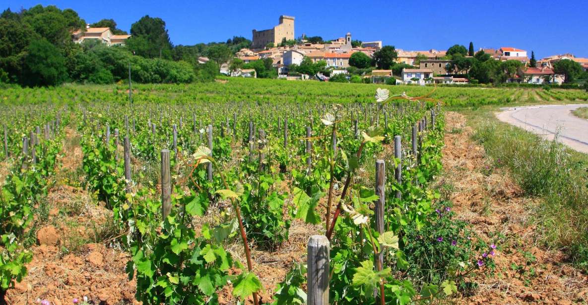 Avignon: Full-Day Wine Tour around Châteauneuf-du-Pape - Your main stops: Châteauneuf-du-Pape plus the neighboring appellations
