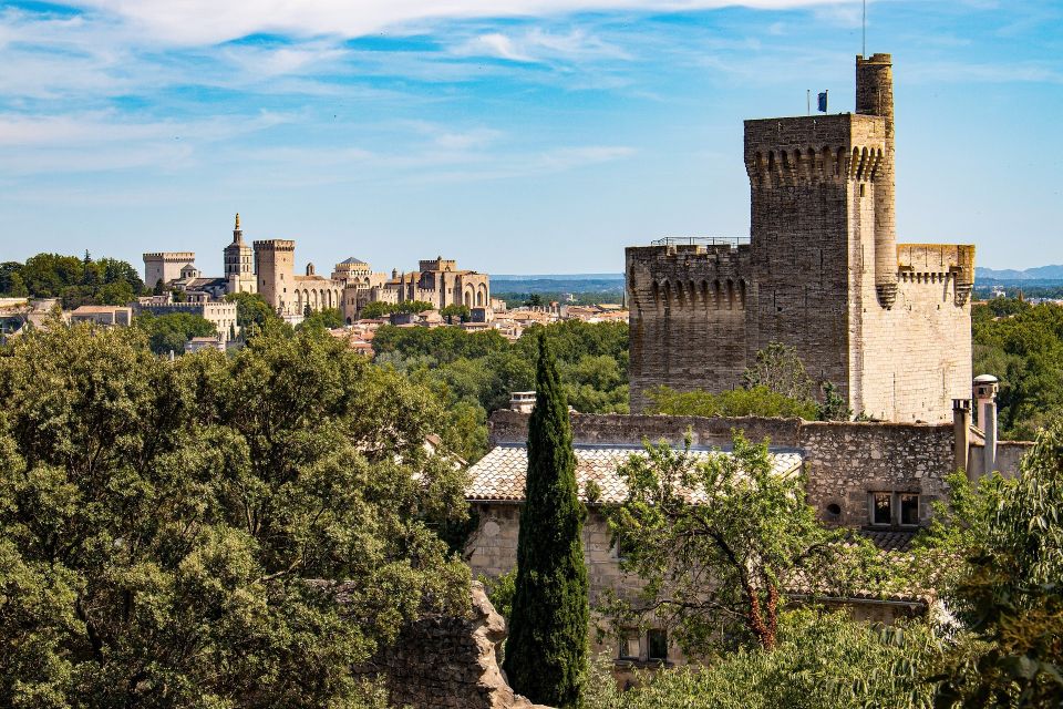 Avignon: Private Walking Tour – Discover History & Heritage - Two lengths, one core story: picking 2 or 3 hours in Avignon