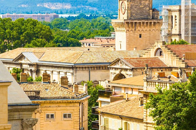 Avignon Walking Tour including Pope's Palace - Group size, comfort, and pace: what to expect when you’re walking most of the morning