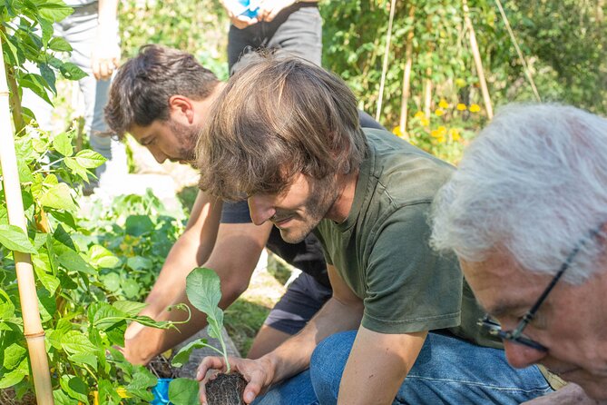 Award winning "From Farm to Table, A Culinary Day in Lyon" - Should You Book From Farm to Table, A Culinary Day in Lyon?