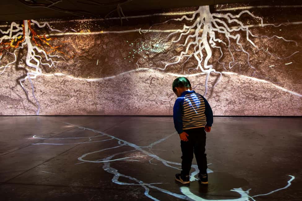 Aÿ-Champagne: Pressoria Champagne Museum with Tasting - Sensorial rooms that turn Champagne steps into something you can feel