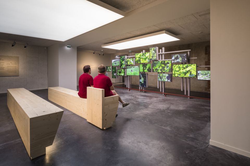 Aÿ-Champagne: Pressoria Champagne Museum with Tasting - Vineyard stroll time in Aÿ-Champampagne: calm, green, and unhurried