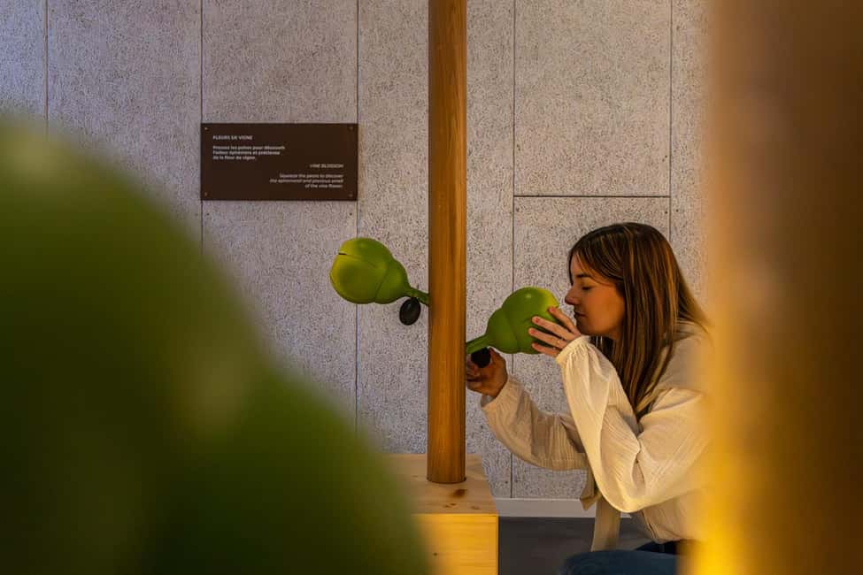 Aÿ-Champagne: Pressoria Champagne Museum with Tasting - Getting there and making it a smooth self-guided day
