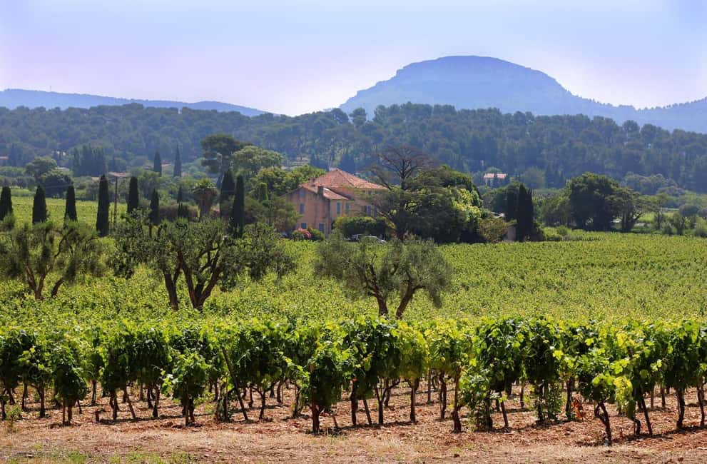 Bandol and Cassis: Full Day Wine Tour from Marseille - Your 7-Hour Timeline: Marseille Pickup to Cassis Coast to Bandol Reds