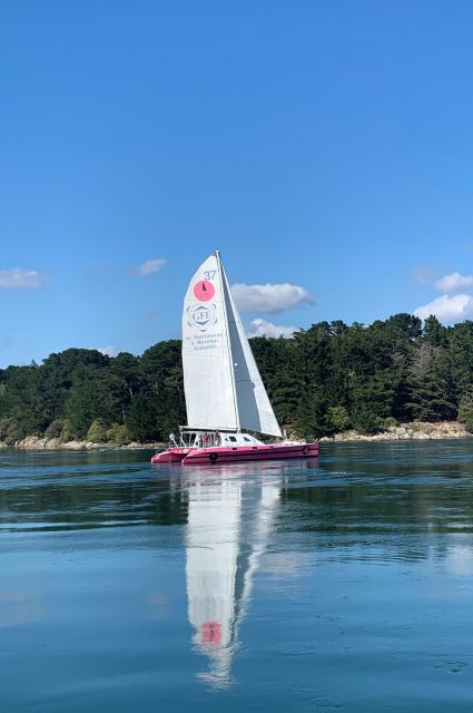 Bay of Quiberon or Morbihan gulf: Evening 2 hours navigation - The 18-meter Catamaran Feel: Comfort on the water