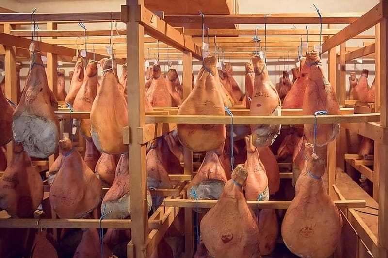 Bayonne: Guided Tour of the Ham Workshop, Tasting - From meat selection to salting and drying: the “why” behind each step