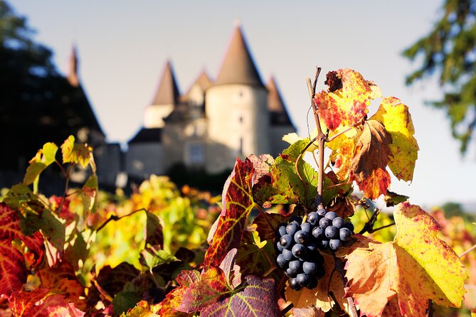 Beaujolais and Burgundy Private Winter Wine Day Tour From Lyon - Lunch where winemakers actually gather: eating well matters on a tasting day