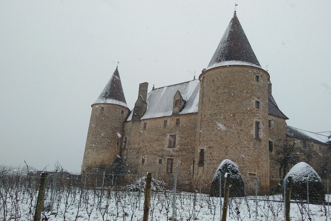 Beaujolais and Burgundy Private Winter Wine Day Tour From Lyon - How much you’ll taste, and how to pace your day like a pro