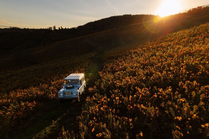 Beaujolais and Burgundy Private Winter Wine Day Tour From Lyon - Price and value: what $470.49 per person buys you