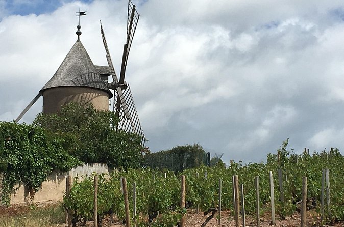 Beaujolais Crus wine tour from Lyon Full day - Romaneche-Thorins and the northbound Cru route
