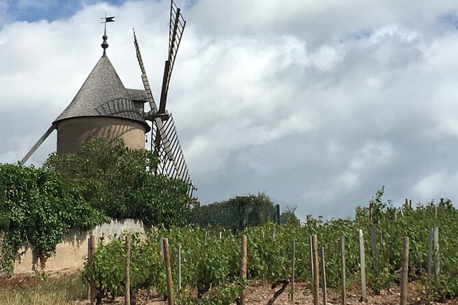 Beaujolais Crus wine tour from Lyon Full day - The guides: English help that turns wine into a skill