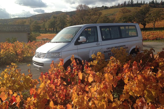 Beaujolais Crus Wines & Castles (2:00 pm - 6:30 pm) - Small Group Tour from Lyon - Cercie Winery Stop: Semi-Carbonic Maceration and Real Tastings