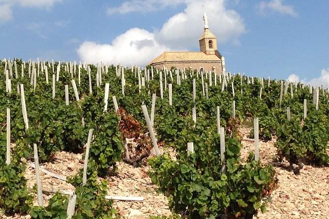 Beaujolais Crus Wines & Castles (2:00 pm - 6:30 pm) - Small Group Tour from Lyon - Picking a Guide Style: Olivier and Justine Stand Out